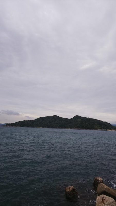 teamゲッソー調査隊