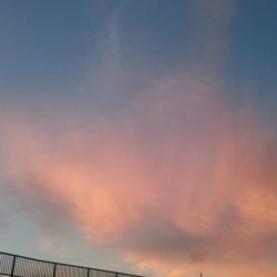 ライトショアジギング