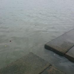 デイのアジングゲーム