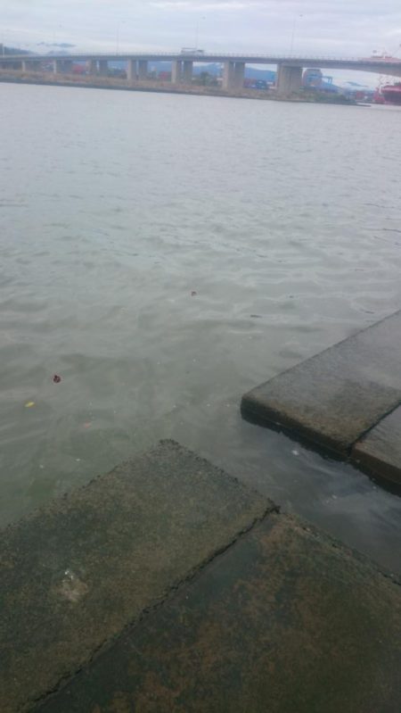 デイのアジングゲーム