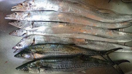 久しぶりの武庫一