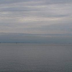 ポロリポロリ…