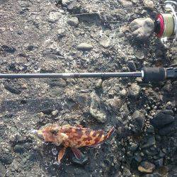 冬の海模様になってきました(`・ω・´)