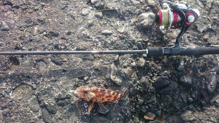 冬の海模様になってきました(`・ω・´)