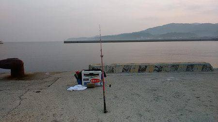 都志港へキス調査