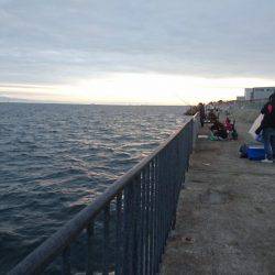 タッチーゲットー