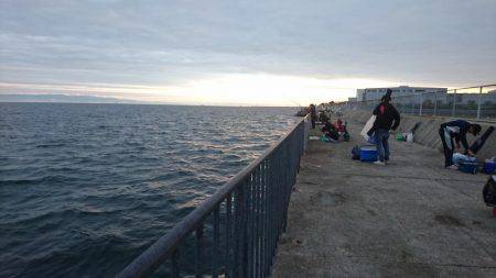 タッチーゲットー