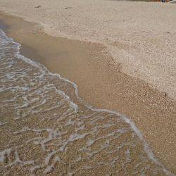 キス釣りは楽しい