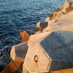 teamゲッソー調査隊