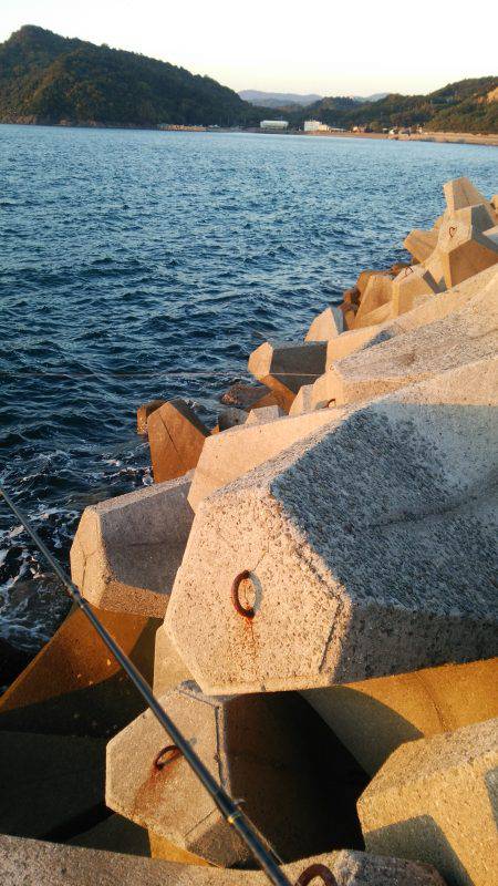 teamゲッソー調査隊