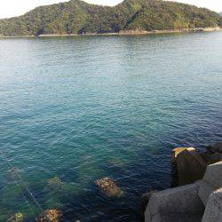 teamゲッソー調査隊