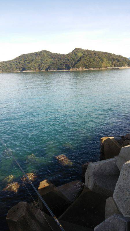 teamゲッソー調査隊