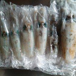 teamゲッソー調査隊