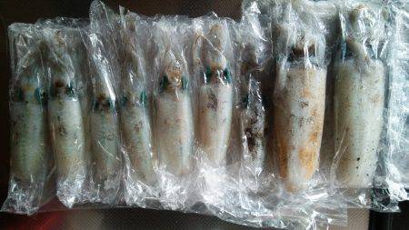 teamゲッソー調査隊