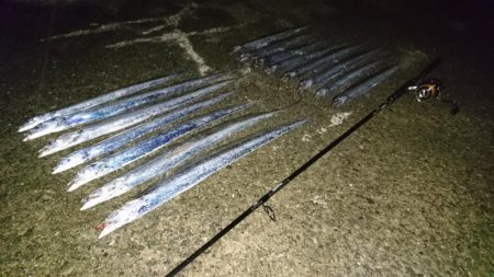 ケーソンタチウオ