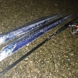 タチウオちょい渋