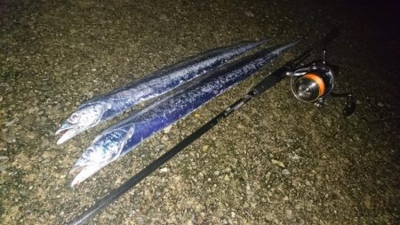 タチウオちょい渋