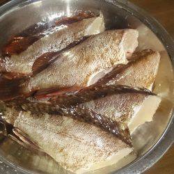 波があるときは釣れやすい！？