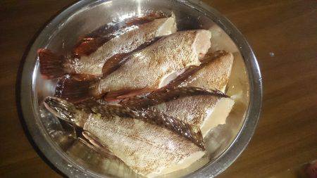 波があるときは釣れやすい！？