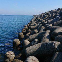 釣り部 釣行記 2