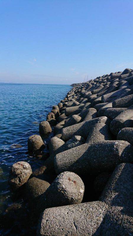 釣り部 釣行記 2