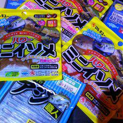 アオリとアジのダブルヘッダー