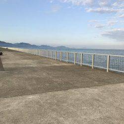 まさかのイトヨリ