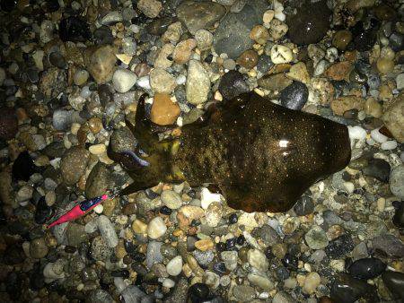 寒気、北風、寒い!