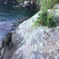 朝夕マズメロング釣行