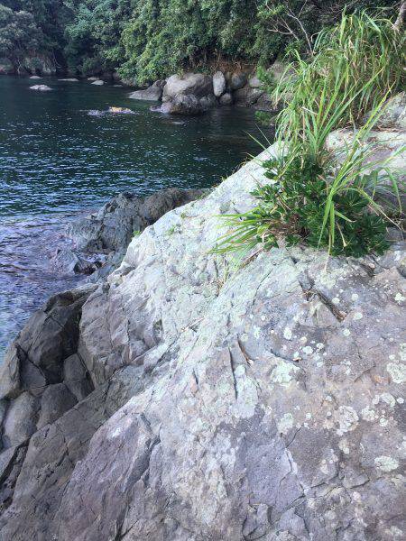 朝夕マズメロング釣行