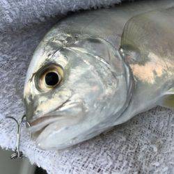 朝夕メッキ三昧