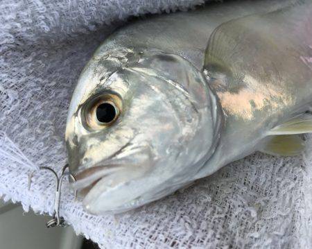 朝夕メッキ三昧