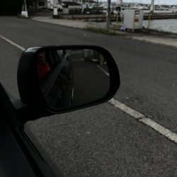 爆風、雨、水濁る=シーバス釣れるの方程式