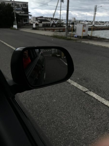 爆風、雨、水濁る=シーバス釣れるの方程式