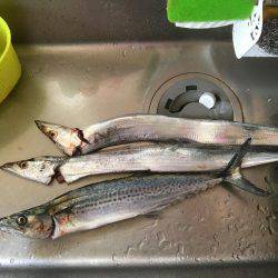 連休は沖堤防で♫