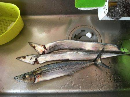 連休は沖堤防で♫