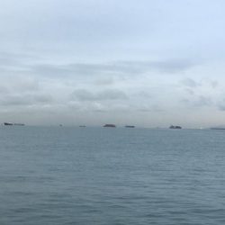 最近、雨ばっか(>_>)