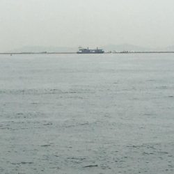 台風後の朝練♫