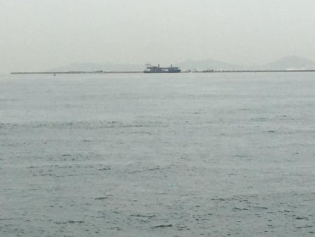 台風後の朝練♫