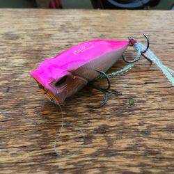 一庫 ボート釣行