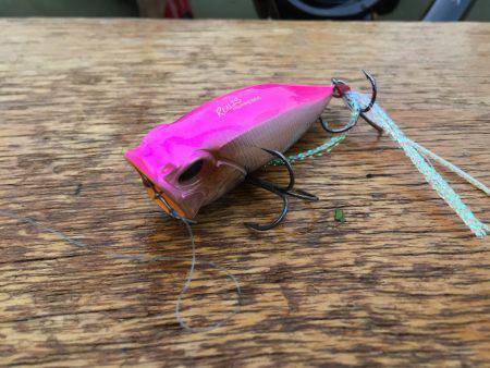 一庫 ボート釣行