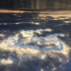 ヒラメ・マゴチ・サゴシ！周りは釣れてたけど…w