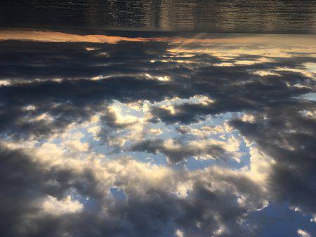 ヒラメ・マゴチ・サゴシ！周りは釣れてたけど…w