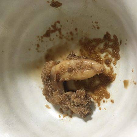 今シーズン初のタチウオ