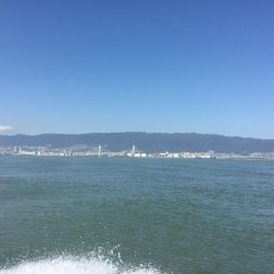 台風後台風前の釣り