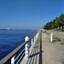 太刀魚、釣ってアンチエイジング！！