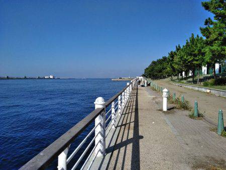 太刀魚、釣ってアンチエイジング！！