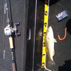 秋パターン調査