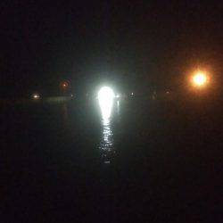 アオリイカ釣れました！