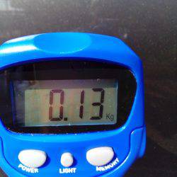 二刀流発揮？タコとアオリイカが釣れました。